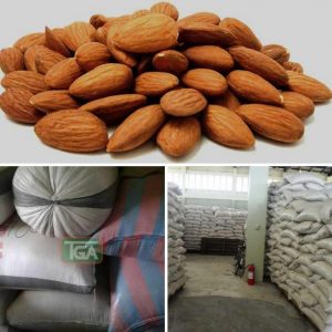 Almond Seed (Price Based On Quantity)